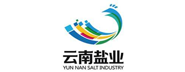 數(shù)治企業(yè)簽約新聞-云南鹽業(yè)